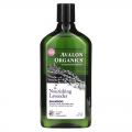 شامبو مغذي بخلاصة اللافندر من أفالون اورجانيكس 325 مل Avalon Organics Lavender Nourishing Shampoo 